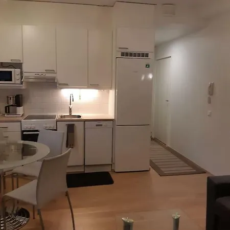Apartment Pieni Moderni Saunallinen Kaksio Keskustan Laehellae Pori