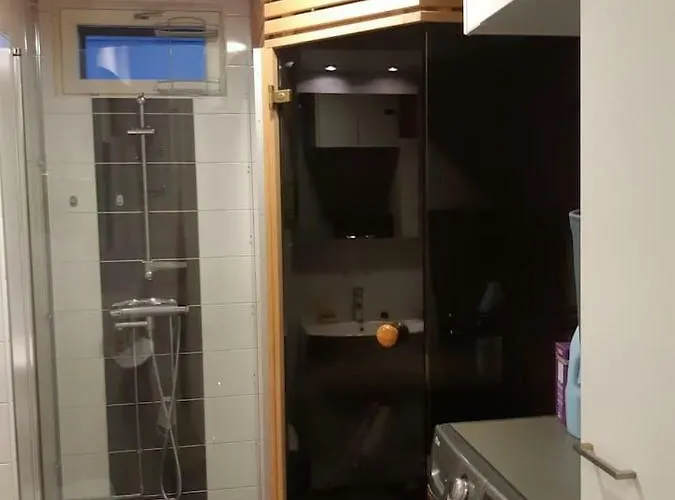 Pieni Moderni Saunallinen Kaksio Keskustan Laehellae Апартаменты Пори