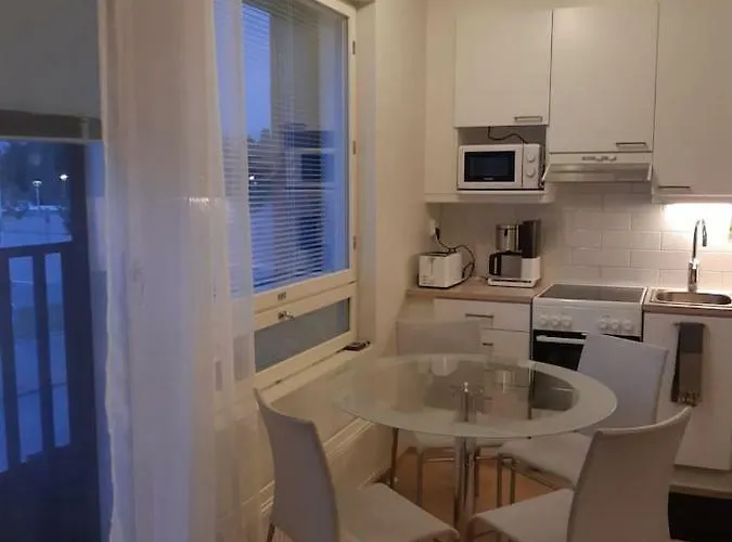 Pieni Moderni Saunallinen Kaksio Keskustan Laehellae Пори